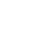 Executive-Custom-Wealth-Icon